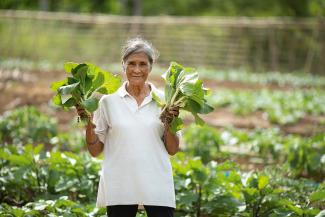 lady with plants