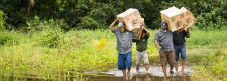 shoebox cartons in Fiji