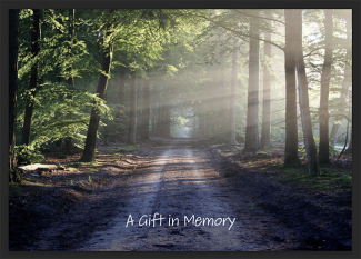 A gift in memory