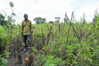 “They taught us how to plant tomatoes,” Mbakonzadhu said of Samaritan’s Purse staff members.