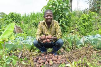Mbakonzadhu’s potato harvest also helps provide funds for his household needs and the education of his children.