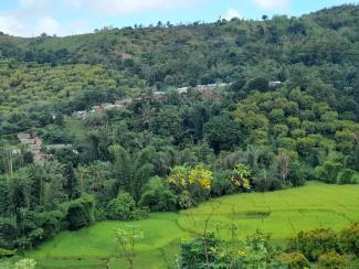 Pray that the Gospel of Jesus Christ would spread from Ambodibibaka to other people throughout the forests of eastern Madagascar.
