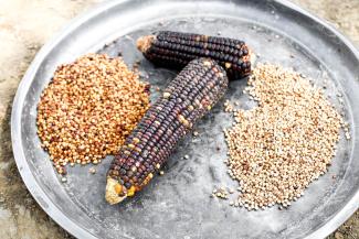 Corn is a staple crop in South Sudan. Our training helps families across the country preserve seeds from their harvests to save for planting next season.