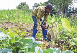 Mbakonzadhu has learned how to grow nutritious food.